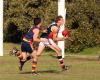 Panthers Push Forward
